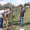 roma_municipio_V_13-10-19_con_il_wwf_piccole_piante_crescono_-600x338