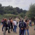31-Valle_Fontana_su_cui_incombe_strada_a_due_corsie-600x450