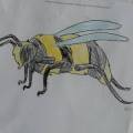 39_Explora_elaborati_laboratorio_colora_la_fauna