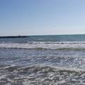 torreflavia-QUINDICI-600x450