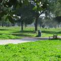 panoramica-parco-600x338