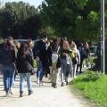 visita-vialetto-600x338