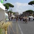 stand-wwf-1-600x338