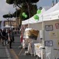 stand-wwf-4-600x337